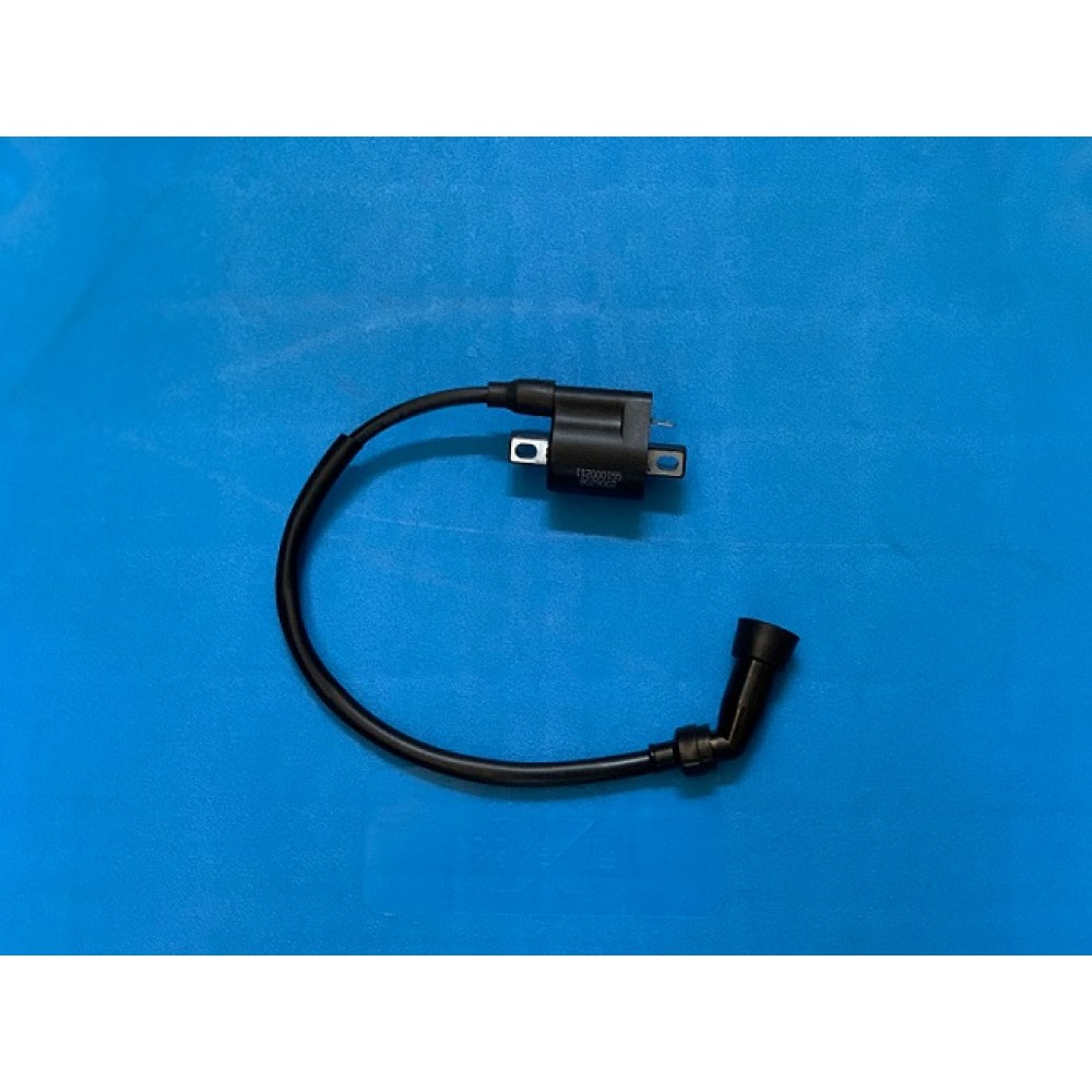 AR 06 - 086ATEŞLEME BOBİNİ