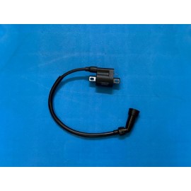 AR 06 - 086ATEŞLEME BOBİNİ