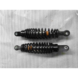 CP250 - 096ARKA AMARTİSÖR TAKIM