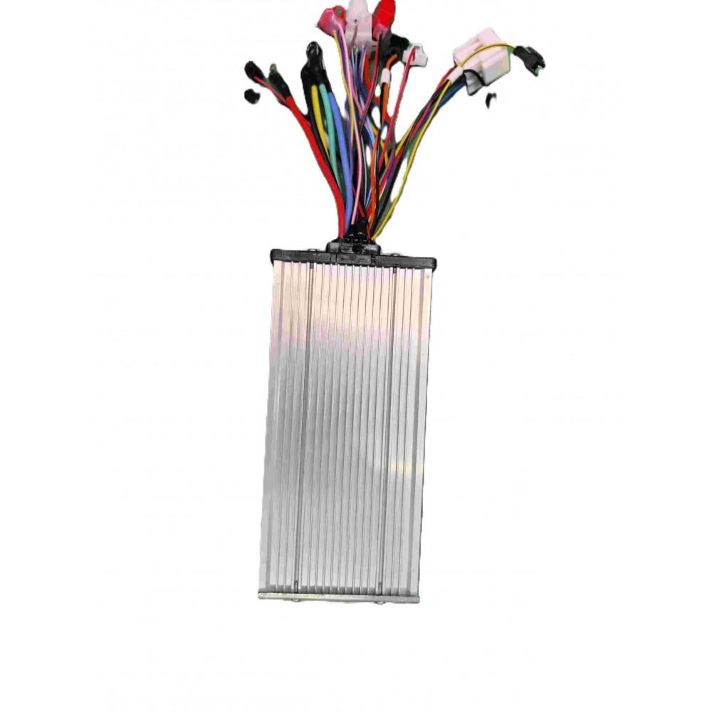 RUZGAR 2024 MODEL-036BEYİN 60V.