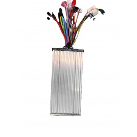 RUZGAR 2024 MODEL-036BEYİN 60V.