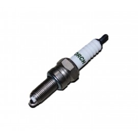 ALFA110- 099BUJİ (MARSHALL)