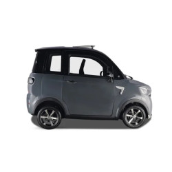 S1 E-CAR