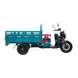 AR10000 MOPED