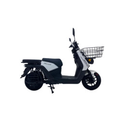 ANKA 8000