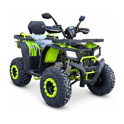 ATV ANKA 300