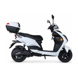 PANTER 249