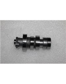 ALFA110- 006 EKSANTRİK MİLİ VE DİŞLİSİ