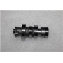 ALFA110- 006 EKSANTRİK MİLİ VE DİŞLİSİ