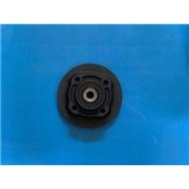 AR 06 - 029
ARKA DİŞLİ GÖBEĞİ