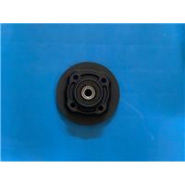 AR 06 - 029 ARKA DİŞLİ GÖBEĞİ