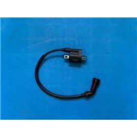 AR 06 - 086
ATEŞLEME BOBİNİ