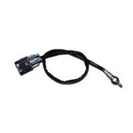 AR 125-097
EKSOZ MÜŞÜRÜ