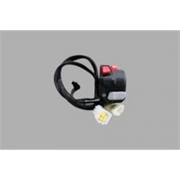 AR 250-060 SAĞ KUMANDA PANELİ