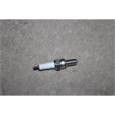 AR 251-193 BUJİ
