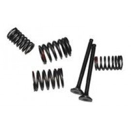 AR125-25 VERANO 017
EMME-EKSOZ SİBOBU