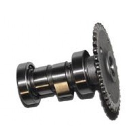 AR125-25 VERANO 018
EKSANTRİK MİLİ VE DİŞLİSİ