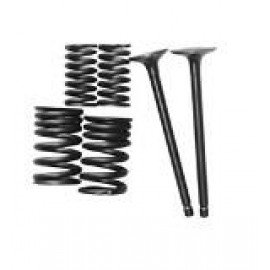 AR150-A JAGUAR 079
EMME-EKSOZ SİBOBU