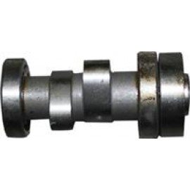 AR50-50 079
EKSANTRİK MİLİ VE DİŞLİSİ