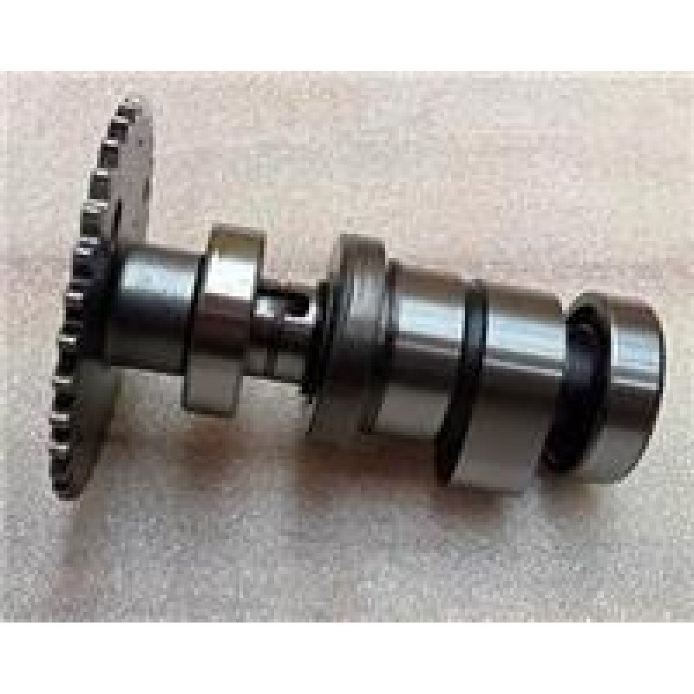 ATV HECTOR- 173
EKSANTRİK MİLİ VE DİŞLİSİ