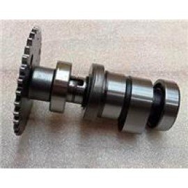 ATV HECTOR- 173
EKSANTRİK MİLİ VE DİŞLİSİ