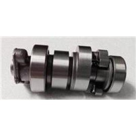 BEATRIX-015
EKSANTRİK MİLİ VE DİŞLİSİ