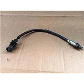 BEATRIX-160
EKSOZ MÜŞÜRÜ-1