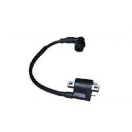 BOSS125 - 072
ATEŞLEME BOBİNİ