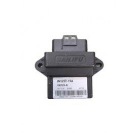 BOSS125 - 075
BEYİN (EURO 5)