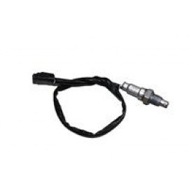 BRAVO-046
EKSOZ MÜŞÜRÜ