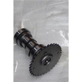 CAPPUCINO 125CC - 001
EKSANTRİK MİLİ VE DİŞLİSİ