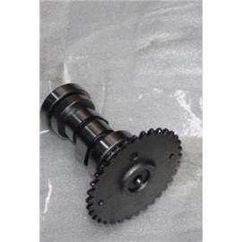 CAPPUCINO 125CC - 001
EKSANTRİK MİLİ VE DİŞLİSİ