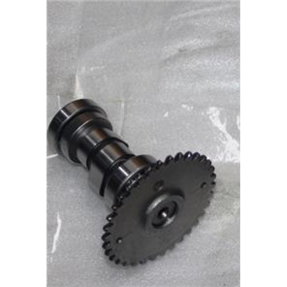 CAPPUCINO 125CC - 001 EKSANTRİK MİLİ VE DİŞLİSİ(GY-6)