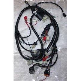 CAPPUCINO 125CC - 035
ELEKTRİK TESİSATI (EURO 5)