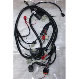CAPPUCINO 125CC - 035 ELEKTRİK TESİSATI (EURO 5)(GY-6)