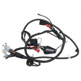 CAPPUCINO 125CC - 066
ELEKTRİK TESİSATI (EURO 3)