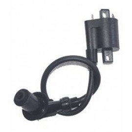 CAPPUCINO 125CC - 105
ATEŞLEME BOBİNİ (EURO 5)