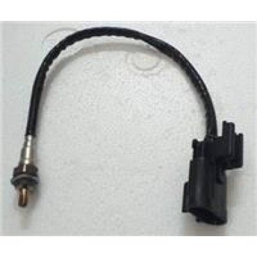 CAPPUCINO - 497
EKSOZ MÜŞÜRÜ