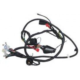 CAPPUCINO -S - 011
ELEKTRİK TESİSATI (EURO 5 )