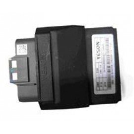 CG.605
BEYİN (EURO 3)