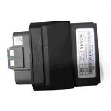 CG.605
BEYİN (EURO 3)