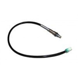 CG.615
EKSOZ MÜŞÜRÜ