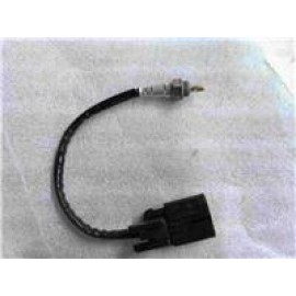 CP250 - 065
EKSOZ MÜŞÜRÜ (UZUN)