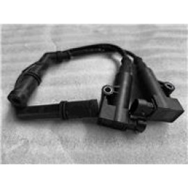 CP250 - 067
ATEŞLEME BOBİNİ