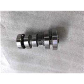 CP250 - 121
EKSANTRİK MİLİ VE DİŞLİSİ