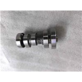 CP250 - 121
EKSANTRİK MİLİ VE DİŞLİSİ