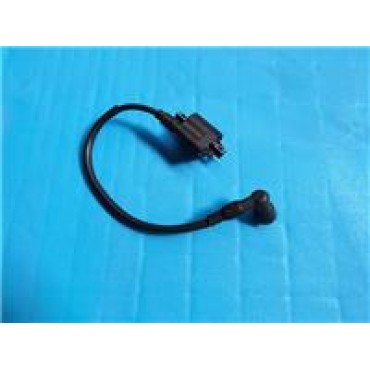 CR250 - 065 ATEŞLEME BOBİNİ