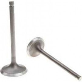 FREEDOM 50- 118
EMME-EKSOZ SİBOBU