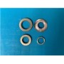GEMMA - 045
BURÇ TAKIMI
