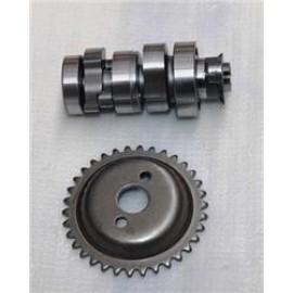 GT 125- 181
EKSANTRİK MİLİ VE DİŞLİSİ